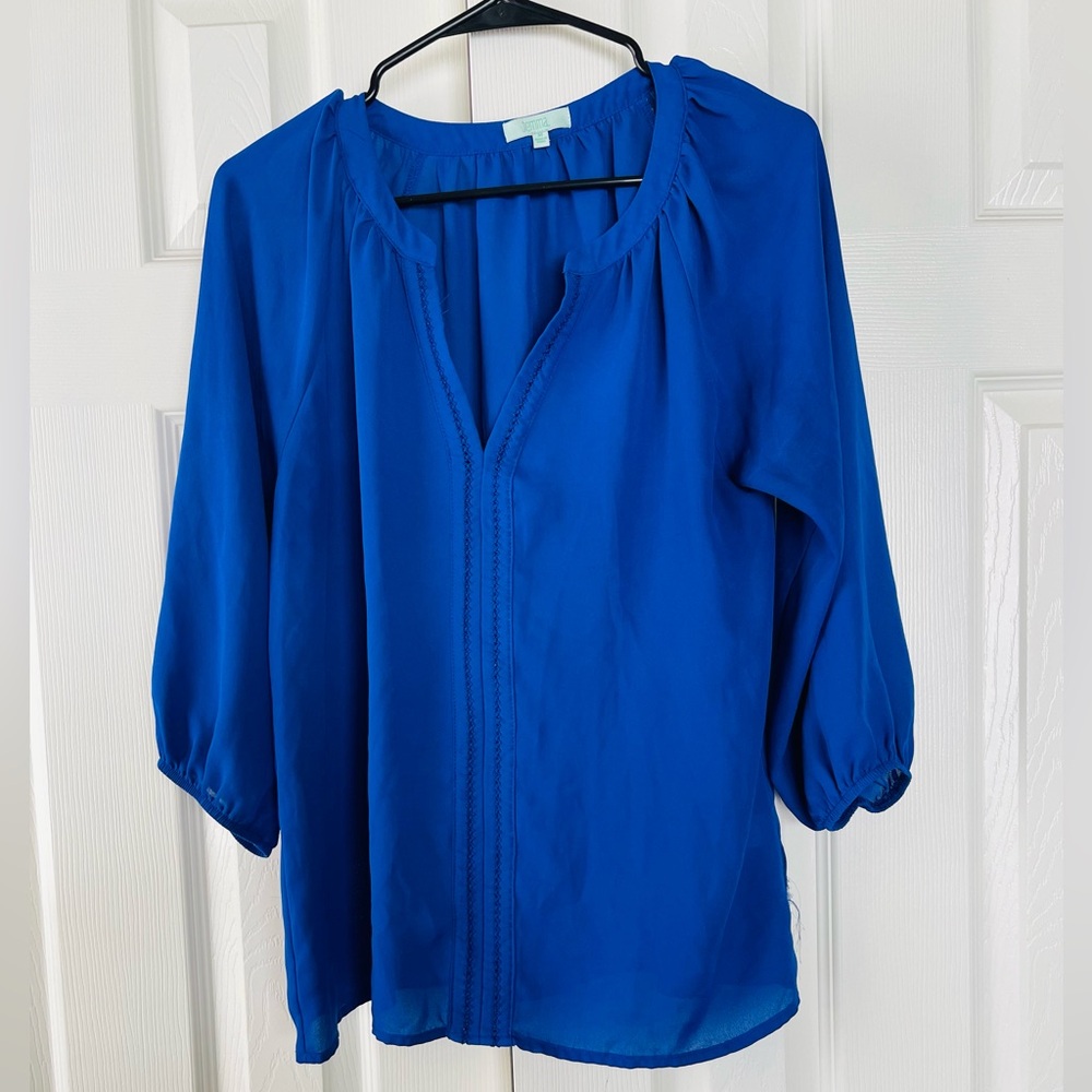 Blue sheer top